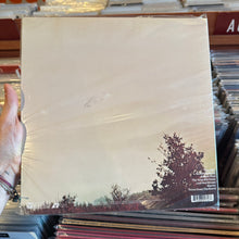 Load image into Gallery viewer, WISHBONE ASH - ARGUS (ANALOGUE PRODUCTIONS 2xLP)