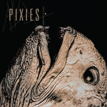 Load image into Gallery viewer, PIXIES - COMPLETE B-SIDES: 1988-1997 (2xLP/2xCD)