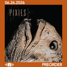 Load image into Gallery viewer, PIXIES - COMPLETE B-SIDES: 1988-1997 (2xLP/2xCD)