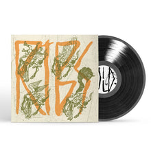 Load image into Gallery viewer, RIBS - COLD RIBS (LP)
