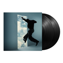 Load image into Gallery viewer, KID CUDI - FREE (2xLP)