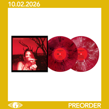 Load image into Gallery viewer, WIDESPREAD PANIC - EVERYDAY (2xLP)