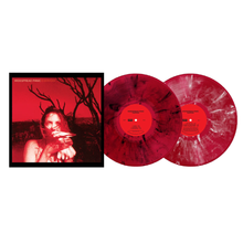 Load image into Gallery viewer, WIDESPREAD PANIC - EVERYDAY (2xLP)