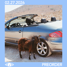 Load image into Gallery viewer, EXEK - PROVE THE MOUNTAINS MOVE (LP)