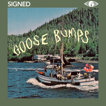 Load image into Gallery viewer, BOYSCOTT - GOOSE BUMPS (LP/CD)