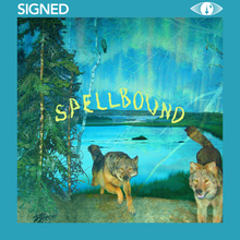 Load image into Gallery viewer, BOYSCOTT - SPELLBOUND (LP/CASSETTE/CD)