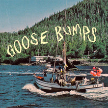 Load image into Gallery viewer, BOYSCOTT - GOOSE BUMPS (LP/CD)