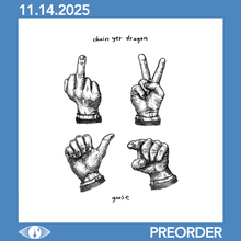 Load image into Gallery viewer, GOOSE - CHAIN YER DRAGON (3xLP/2xCD)