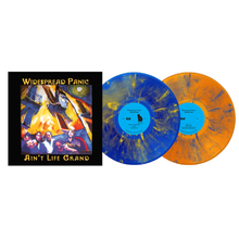 Load image into Gallery viewer, WIDESPREAD PANIC - AIN'T LIFE GRAND (2xLP)