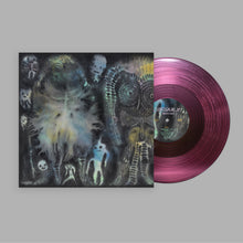 Load image into Gallery viewer, DINOSAUR JR. - THERE NEAR (LP/CD)