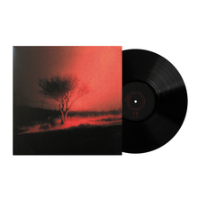 Load image into Gallery viewer, JOJI - PISS IN THE WIND (LP/CD)