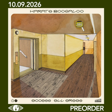 Load image into Gallery viewer, KARATE BOOGALOO - ACCESS ALL AREAS (LP/CD)