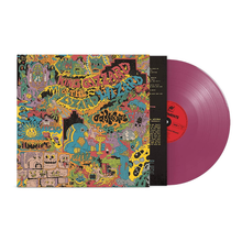 Load image into Gallery viewer, KING GIZZARD & THE LIZARD WIZARD - ODDMENTS (LP)