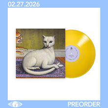 Load image into Gallery viewer, MITSKI - NOTHING'S ABOUT TO HAPPEN TO ME (LP/CD/CASSETTE)