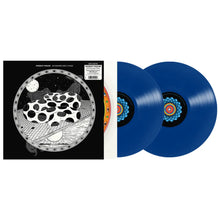 Load image into Gallery viewer, MODEST MOUSE - AN ERASER AND A MAZE (2xLP/CD)