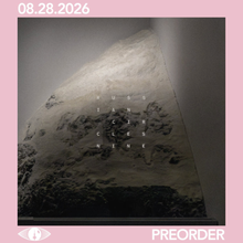 Load image into Gallery viewer, RUSSIAN CIRCLES - NINE (LP/CD)