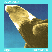 Load image into Gallery viewer, PROTOMARTYR - HOTEL USONA (LP/CD)