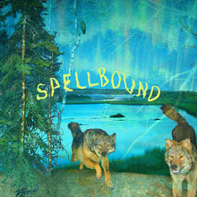 Load image into Gallery viewer, BOYSCOTT - SPELLBOUND (LP/CASSETTE/CD)