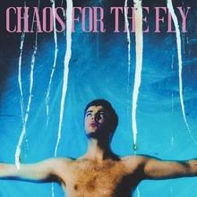 Load image into Gallery viewer, GRIAN CHATTEN - CHAOS FOR THE FLY (LP)