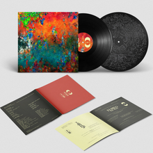 Load image into Gallery viewer, GOOSE - AUTUMN CROSSING (12" EP)