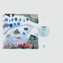 Load image into Gallery viewer, MICHAEL NAU - ACCOMPANY (LP)