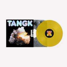Load image into Gallery viewer, IDLES - TANGK (LP)