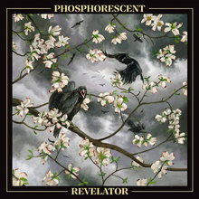 Load image into Gallery viewer, PHOSPHORESCENT - REVELATOR (LP)