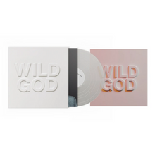 Load image into Gallery viewer, NICK CAVE & THE BAD SEEDS - WILD GOD (LP)