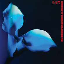 Load image into Gallery viewer, BAMBARA - BIRTHMARKS (LP)