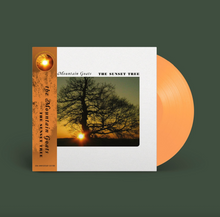 Load image into Gallery viewer, MOUNTAIN GOATS - THE SUNSET TREE: THE 20TH ANNIVERSARY REMASTER (LP/CD)