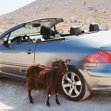 Load image into Gallery viewer, EXEK - PROVE THE MOUNTAINS MOVE (LP)