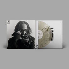 Load image into Gallery viewer, THUNDERCAT - DISTRACTED (LP/CD)