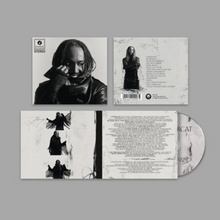 Load image into Gallery viewer, THUNDERCAT - DISTRACTED (LP/CD)