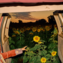 Load image into Gallery viewer, KEVIN MORBY - LITTLE WIDE OPEN (2xLP/CD)