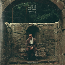 Load image into Gallery viewer, DERMOT KENNEDY - THE WEIGHT OF THE WOODS (2xLP/CD)