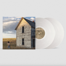Load image into Gallery viewer, JANE REMOVER - CENSUS DESIGNATED (2xLP)