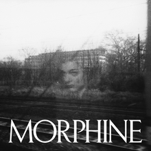 Load image into Gallery viewer, MORPHINE - COCOON (LP/CD)