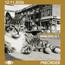 Load image into Gallery viewer, WILCO + BILLY BRAGG - MERMAID AVENUE VOL. II (2xLP)
