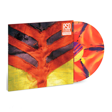 Load image into Gallery viewer, YEAH YEAH YEAHS - SHOW YOUR BONES (RSD ESSENTIALS LP)