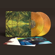 Load image into Gallery viewer, BAND OF HORSES - EVERYTHING ALL THE TIME (2xLP/LP/CASSETTE)