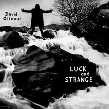 Load image into Gallery viewer, DAVID GILMOUR - LUCK AND STRANGE (LP)