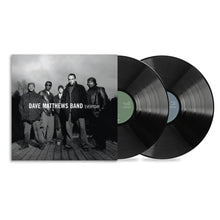 Load image into Gallery viewer, DAVE MATTHEWS BAND - EVERYDAY (2xLP)