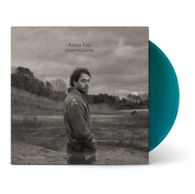Load image into Gallery viewer, AMOS LEE - TRANSMISSIONS (2xLP)