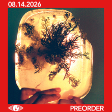 Load image into Gallery viewer, L'RAIN - FATA MORGANA (LP)