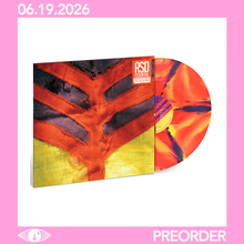 Load image into Gallery viewer, YEAH YEAH YEAHS - SHOW YOUR BONES (RSD ESSENTIALS LP)