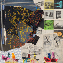 Load image into Gallery viewer, ANIMAL COLLECTIVE - TIME SKIFFS (2xLP)