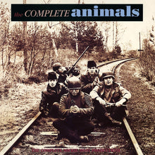 Load image into Gallery viewer, ANIMALS - COMPLETE ANIMALS (3xLP)