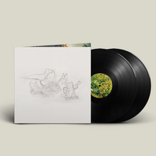 Load image into Gallery viewer, BIG THIEF - DRAGON NEW WARM MOUNTAIN I BELIEVE IN YOU (2xLP/CD)