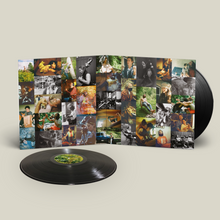 Load image into Gallery viewer, BIG THIEF - DRAGON NEW WARM MOUNTAIN I BELIEVE IN YOU (2xLP/CD)
