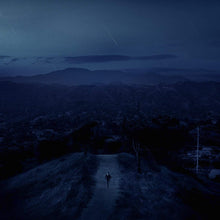 Load image into Gallery viewer, FINNEAS - BLOOD HARMONY (LP)